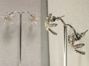 Earrings E209560S